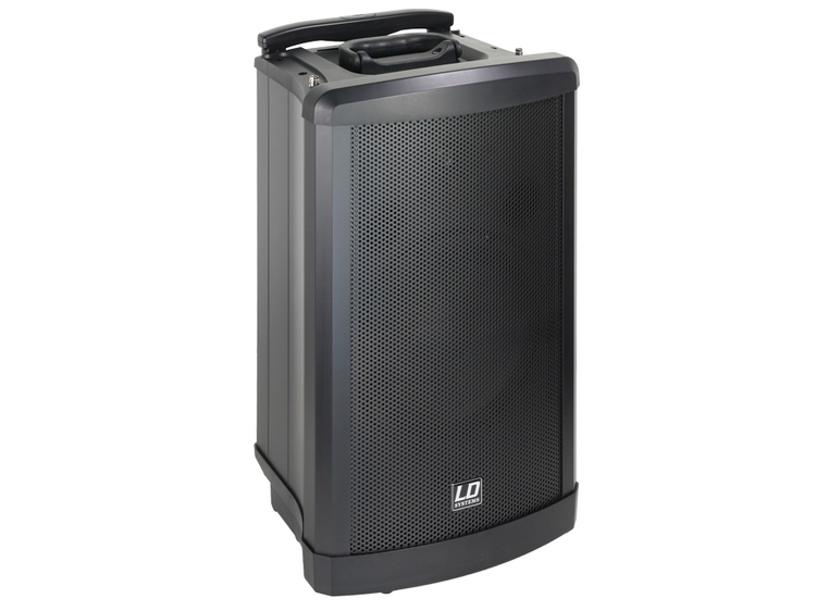 LD Systems Roadman 102 Passive Slave Speaker 
